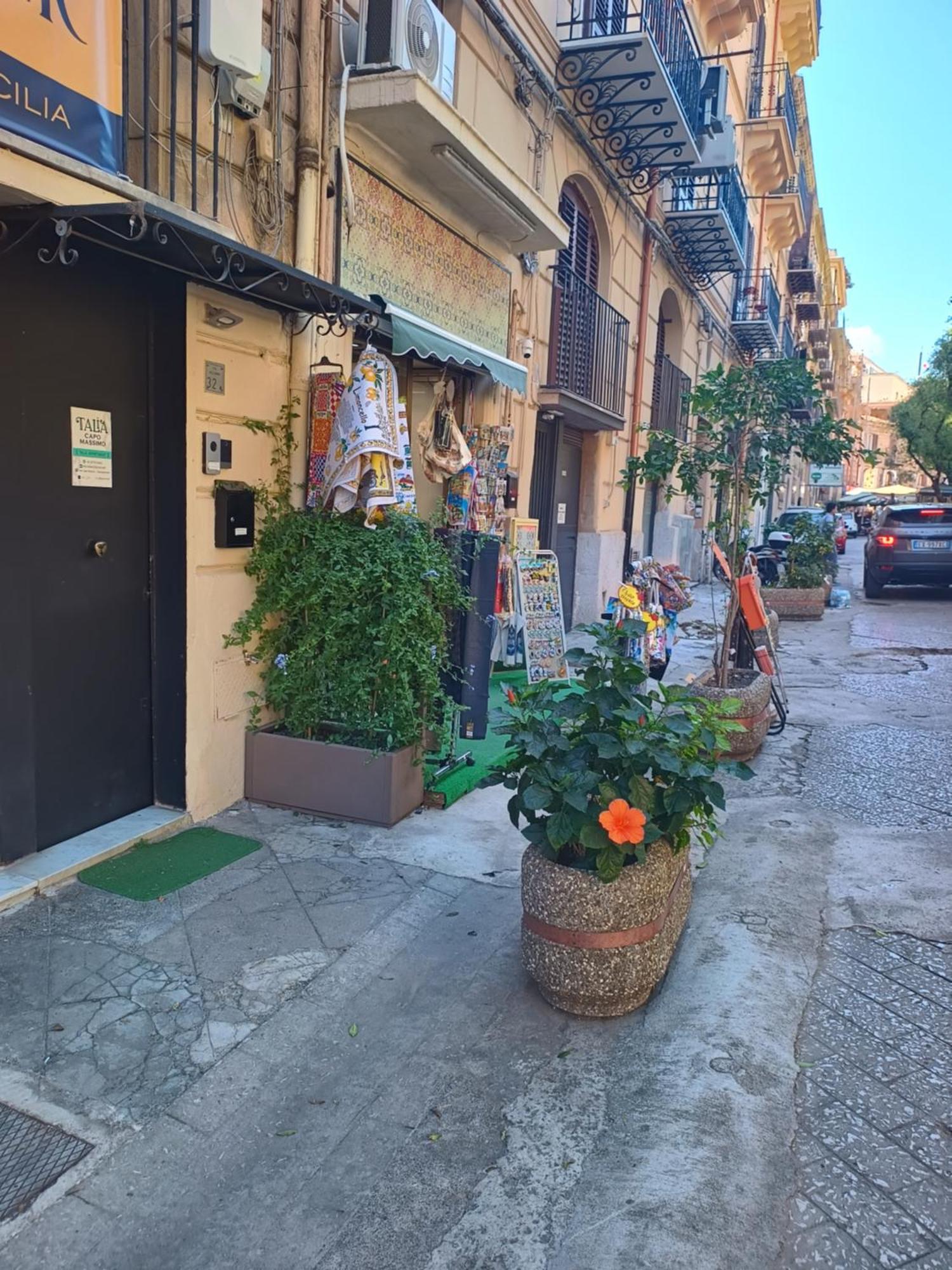 Talia Capo Massimo Appartamento Palermo
